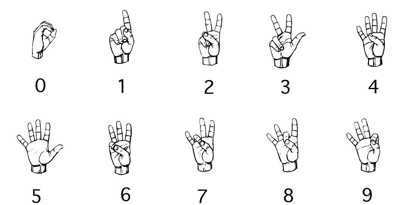 Github Aladdint0 To 9 Asl This Model Predicts The Number Your Hand Is Forming It Ranges 7971