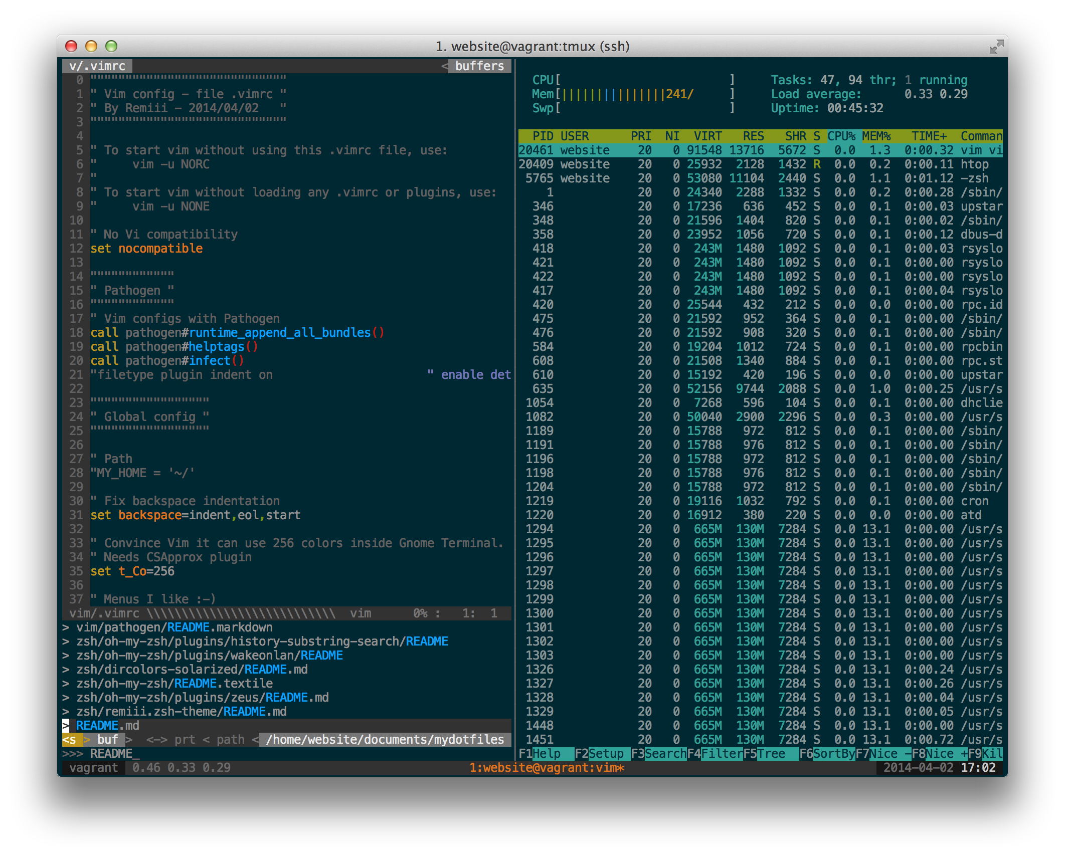 Screen shot - VIM