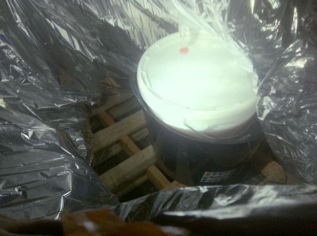 Primary fermentation vessel inside the heater