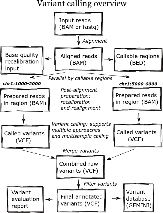 Variant calling overview