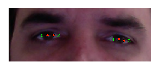 avatar-eyes-annotation.png