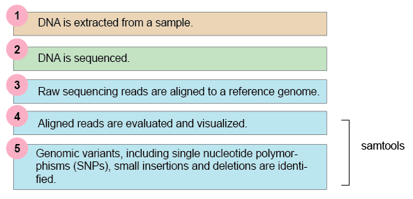 Typical Next-Generation Sequencing Workflow.