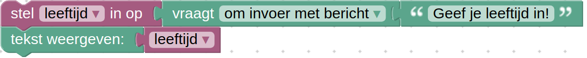 Invoer en uitvoer in **blokken**