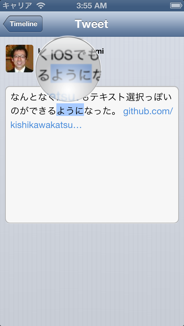 iOS ScreenShot 3