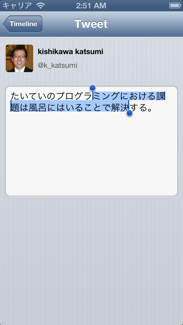 iOS ScreenShot 4