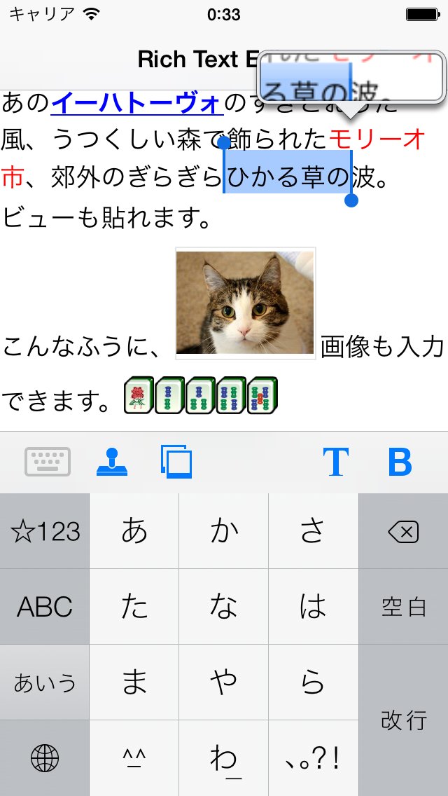 iOS ScreenShot 1