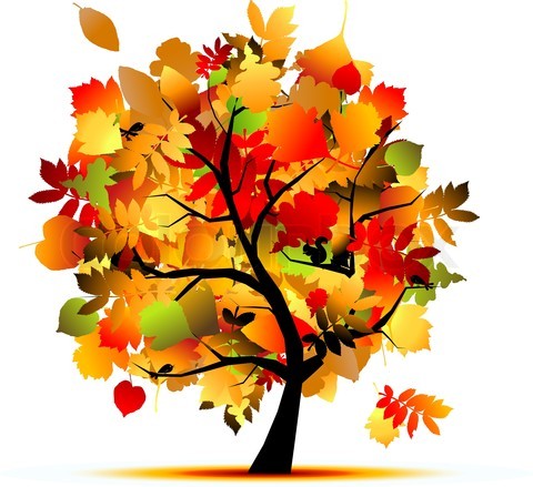 autumn-tree.jpg