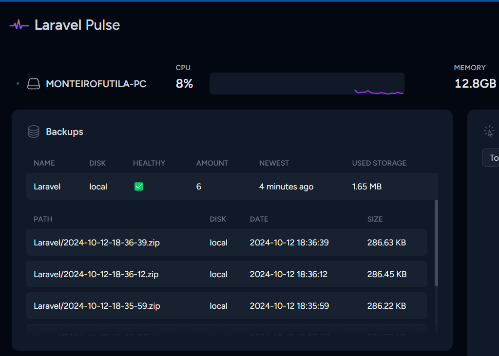 Laravel Backup Pulse