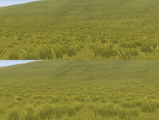 Grass before and after.