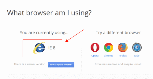 IE 8