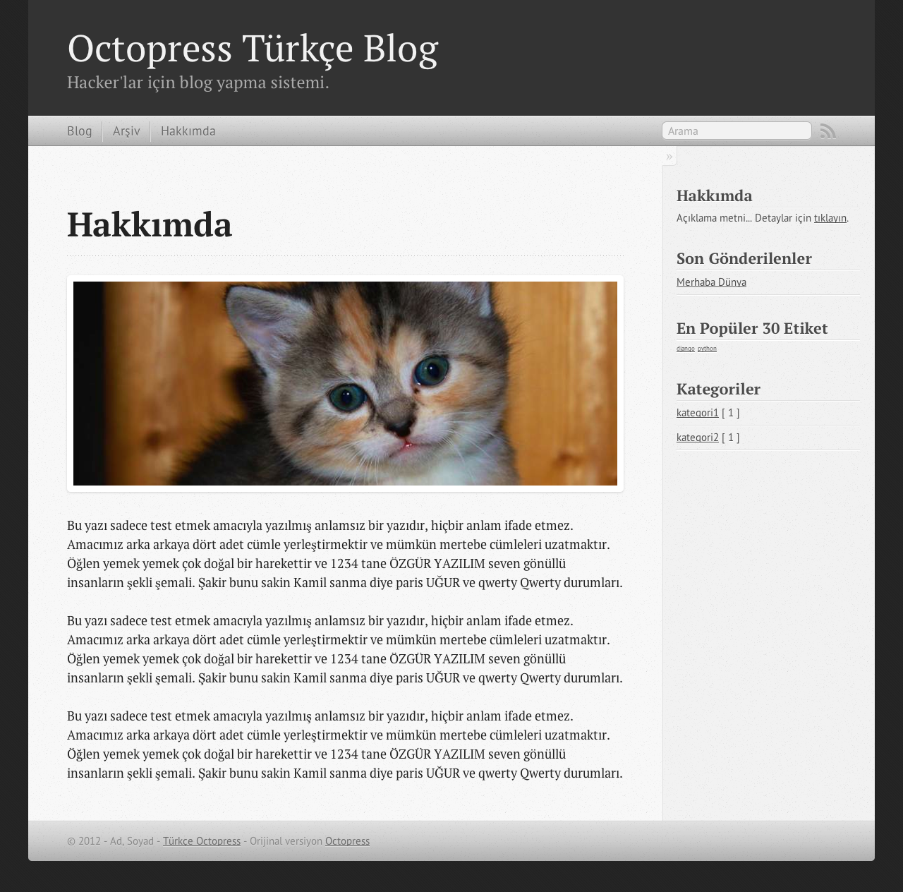 Octopress Türkçe - Sayfa