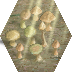 mushrooms-beam-tile.png