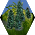 bluff-forest-tile.png