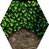 wall-hedge-tile.png