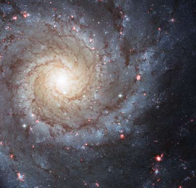 Swirl Mascot, Messier Spiral Galaxy M74, also known as NGC 628