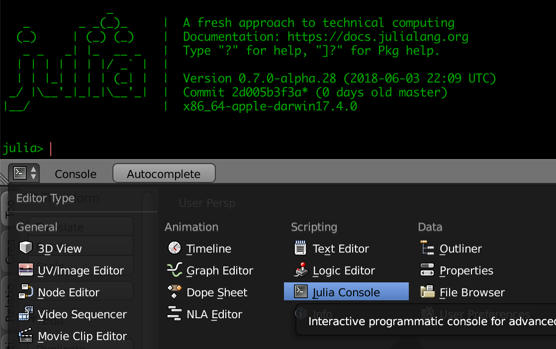 julia_console.png